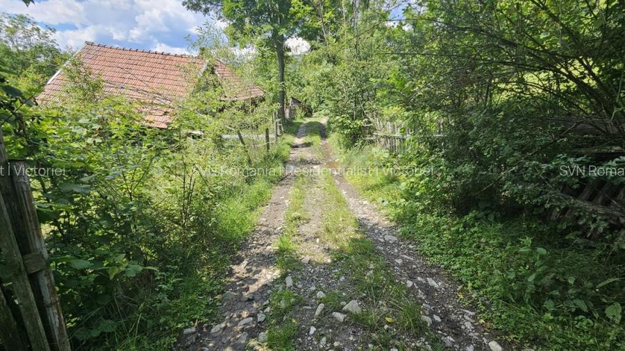 REL4001173 Teren de vanzare in Valea Doftanei - 4