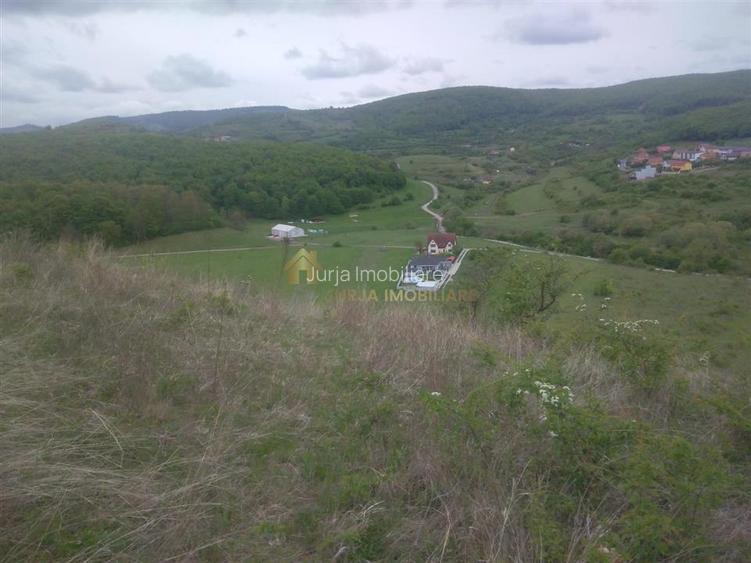 teren extravilan 3640 mp Strada Stejarului - 2