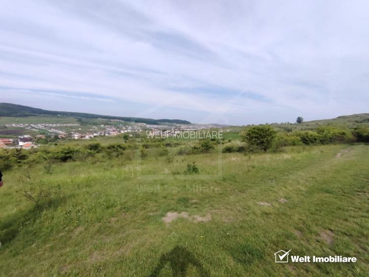 8.700 mp pentru dezvoltare rezidentiala la 3 km de CREIC - Chinteni - 7