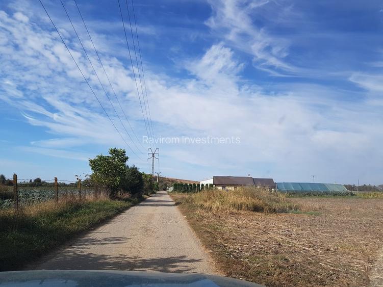 Teren 1.597mp, deschidere 47 ml, situat la 350m de Calea Barladului - 7