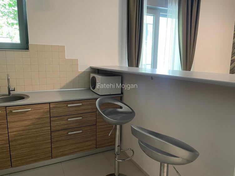 2 camere in Herastrau - 12