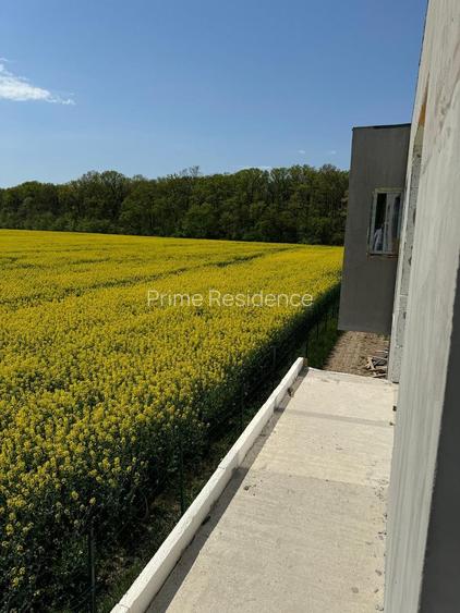 Vile Individuale Noi 4 camere Snagov Ghermanesti - 12