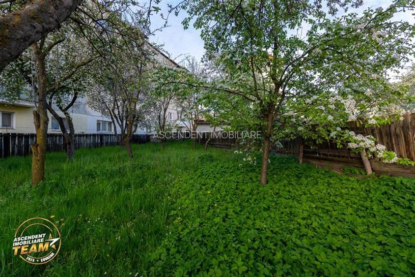 Casa in inima statiunii Covasna, cu gradina, vie si pomi fructiferi - 4
