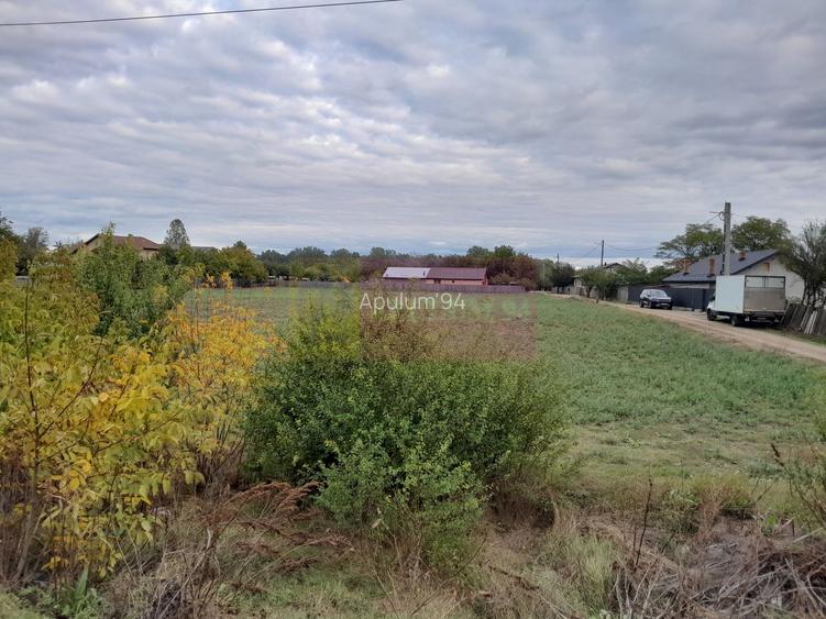 COSERENI( il ) - TEREN  2K MP DE VANZARE (52 M DESCHIDERE LA E85 ) - 3