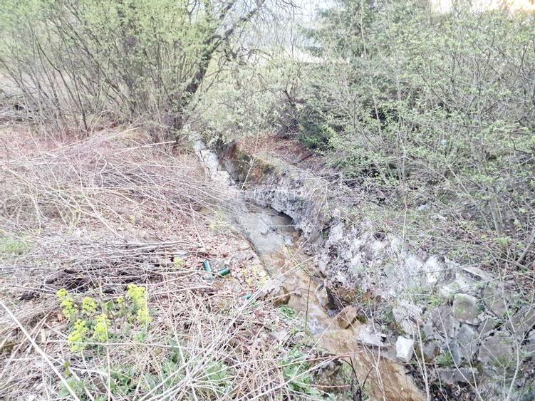 Teren cu vedere la Muntele Ceahlau - 27