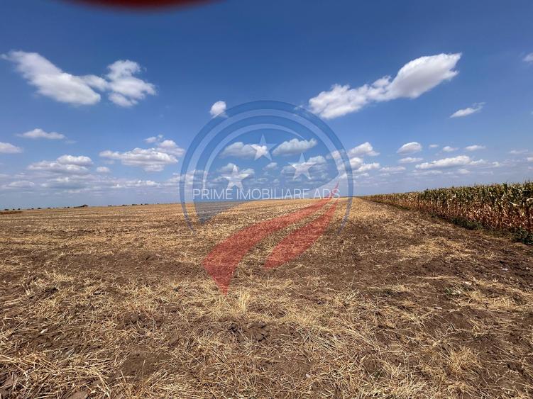 Teren intravilan de vanzare in Pielesti - 5