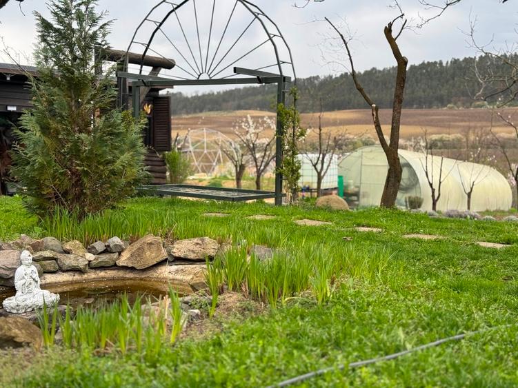 De vanzare 0,75ha cu doua case, gradina, livada etc Ideal camping, tabere, ferma