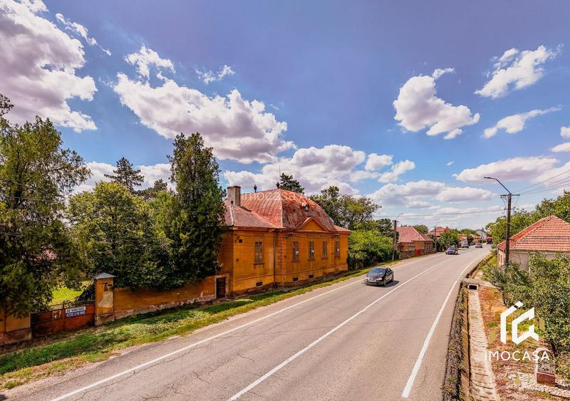 Vila Conac boieresc contelui Fabia 1920 de vânzare Păuliș Arad 2,4 ha - 4