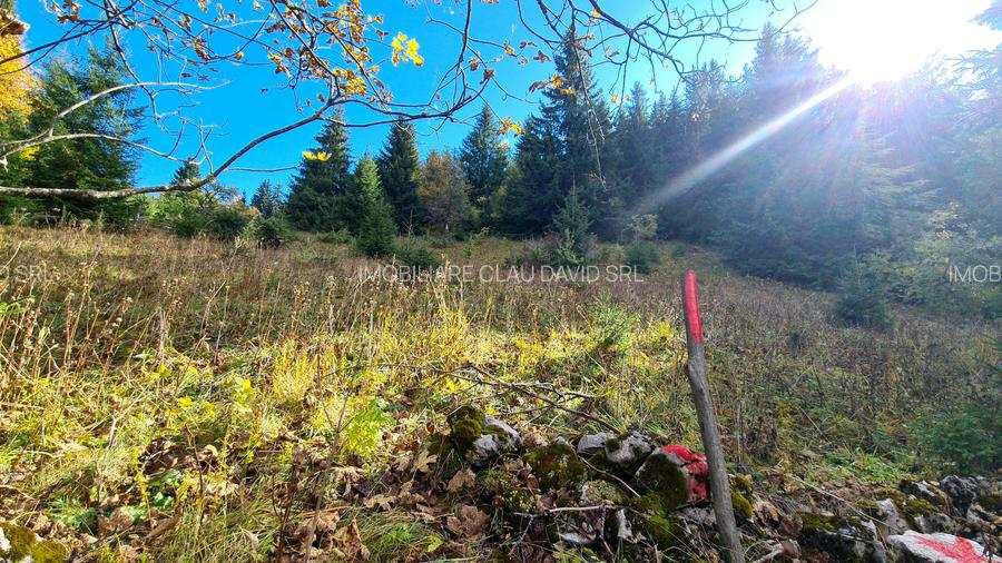 TEREN INTRAVILAN-EXTRAVILAN SPECTACULOS LANGA RESORTUL CHEILE GRADISTEI -FUNDATA - 13