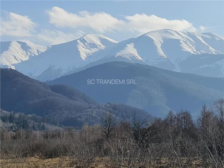 Teren intravilan 2500mp  pe Valea Avrigului,optim casa de vacanta - 12