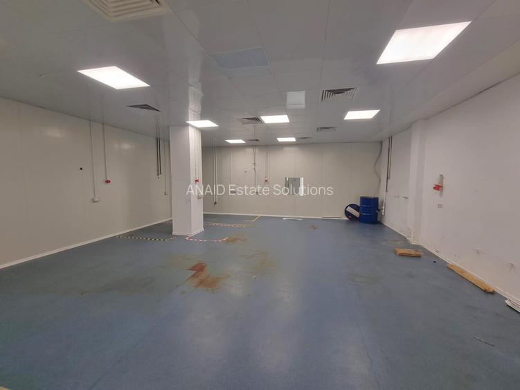 Spatiu industrial Dristor - Kaufland Mihai Bravu - 6