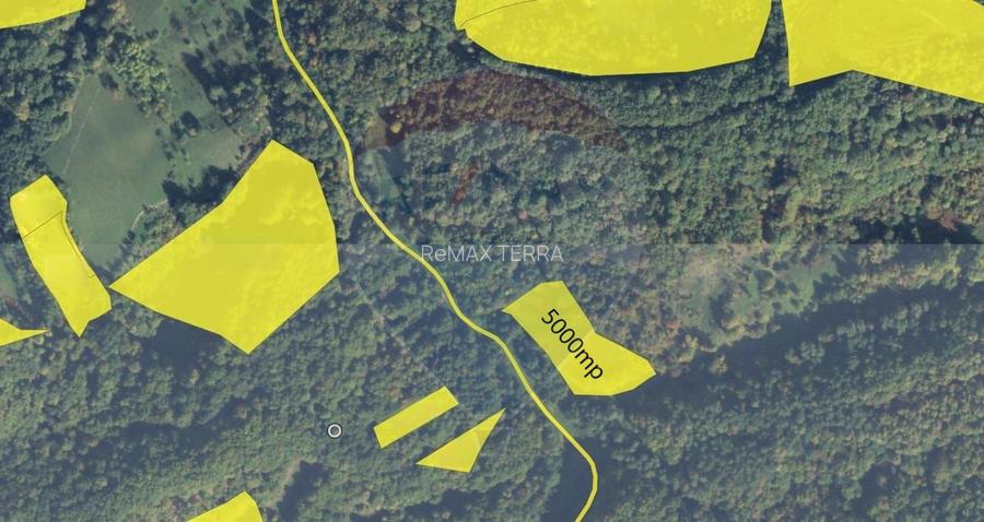 Poiană pentru cabana de vanzare intravilan Coas - 8