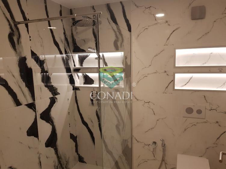 Aproape cu 4 camere  de închiriat Herastrau - 3