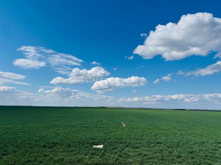 Teren extravilan 17700mp Biharia - 4