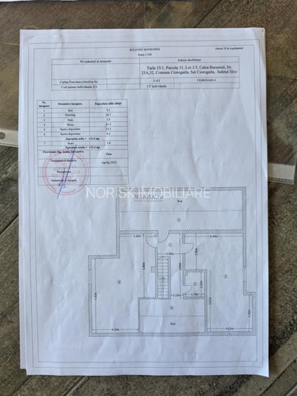 Oportunitate Rară în Ciorogârla– 8.000 mp Teren | Dublu Acces Asfaltat - 21