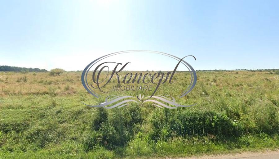 Teren intravilan in Salicea - 3