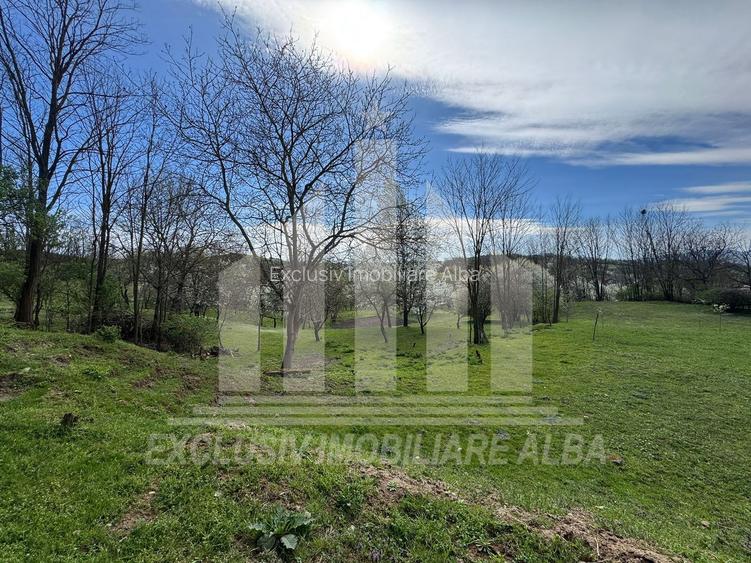 Casa individuala | De vanzare | 200 mp | 8140 mp teren | Oarda de Sus - 17