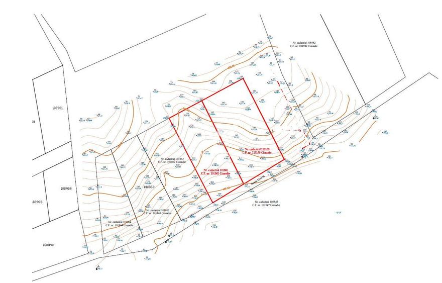 Rădăcini noi, visuri vechi- Teren de vanzare in Cisnadioara, Sibiu - 6