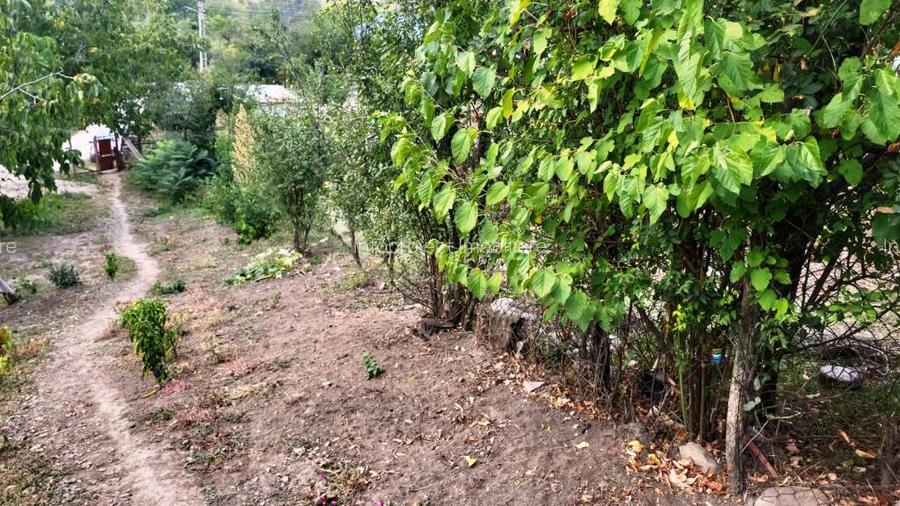 Proprietate în zonă de deal în localitatea Zărnești, la 20km de orașul Buzău - 11