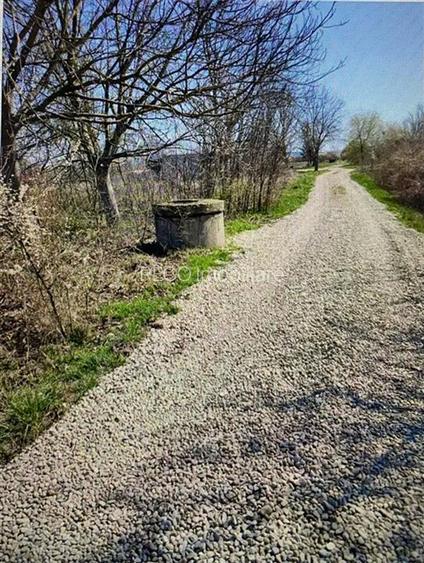 RECO  Teren in  Sanmartin  1780mp - 5