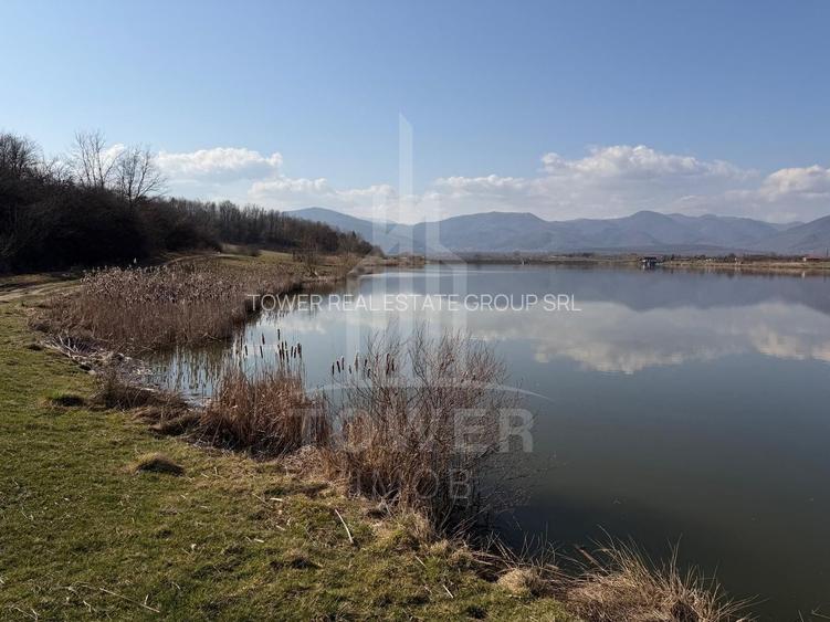 Teren EXTRAVILAN de vânzare în Săcel - 4