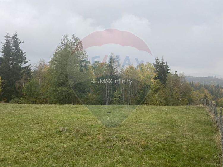 Teren de vanzare 8119 mp Calatele Padure.Muntii Apuseni - 19