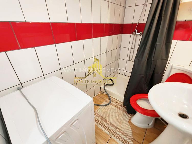 1 camera, loft, modern, proaspat renovat, curte, Grigorescu, Donath - 12