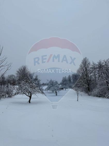 Teren în cea mai turistica localitate din Romania - Breb / Maramureș - 6