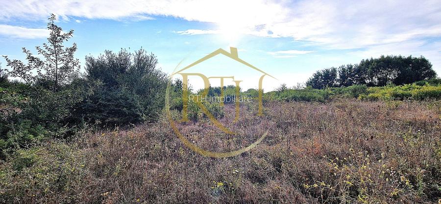 Teren de vânzare – 11.273 mp – zona Plopi, Timișoara Sud. - 4