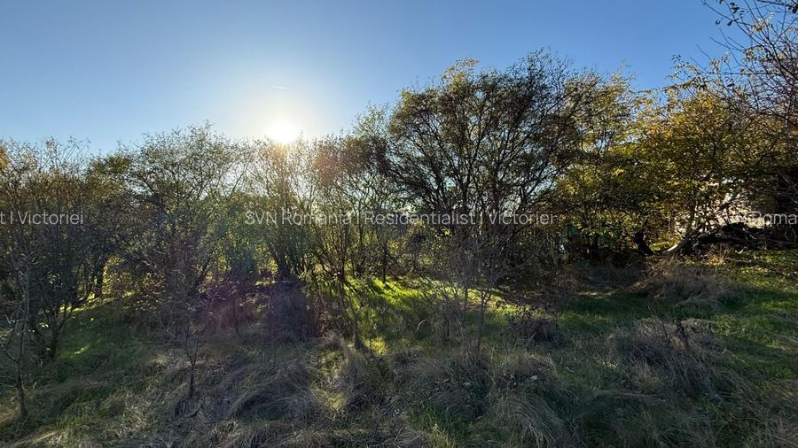 REL4001212 Teren I De Vanzare I Snagov - 4