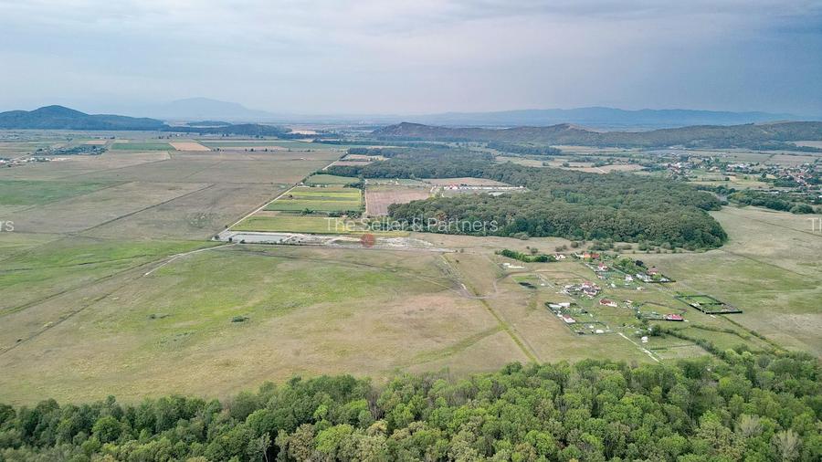 Teren Extravilan - 11