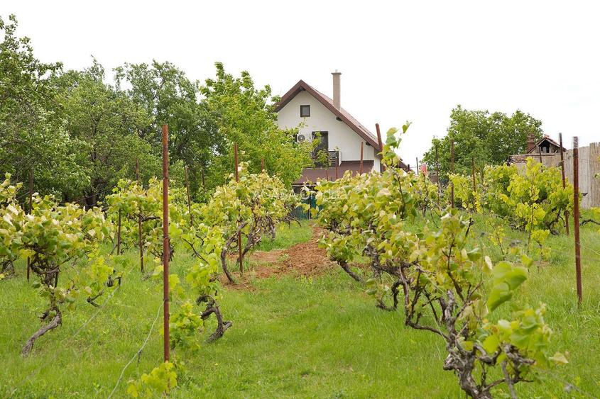 Vilă 5 dormitoare, 4 băi, 2 248mp teren, piscină. Preț: 229 000 E. - 14