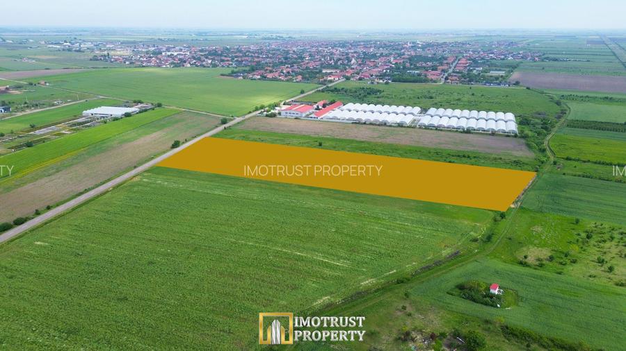 Teren intravilan de vânzare – 10.336 mp cu PUZ aprobat 16 loturi,Arad - 4