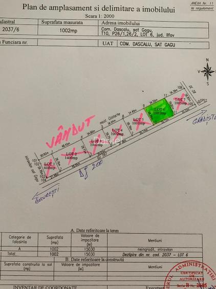Teren 1000 mp intravilan , Dascalu, deschidere 35 m la DJ 200, 0744353659 - 5