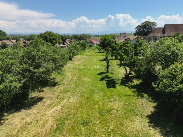 Teren Intravilan 1.251 mp în Rotbav (Brașov) – Toate utilitățile, acces asfaltat - 8