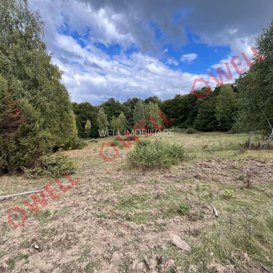 De vânzare o pășune la 5 km de Cernat! - 3