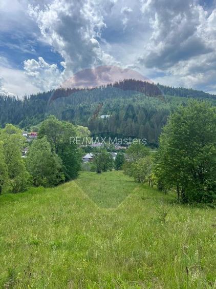 Teren 6,865mp Voronet / Gura Humorului / Bucovina - 25