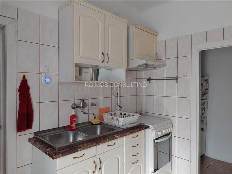 2 apartamente in vila, Turda - Ion Mihalache - 14