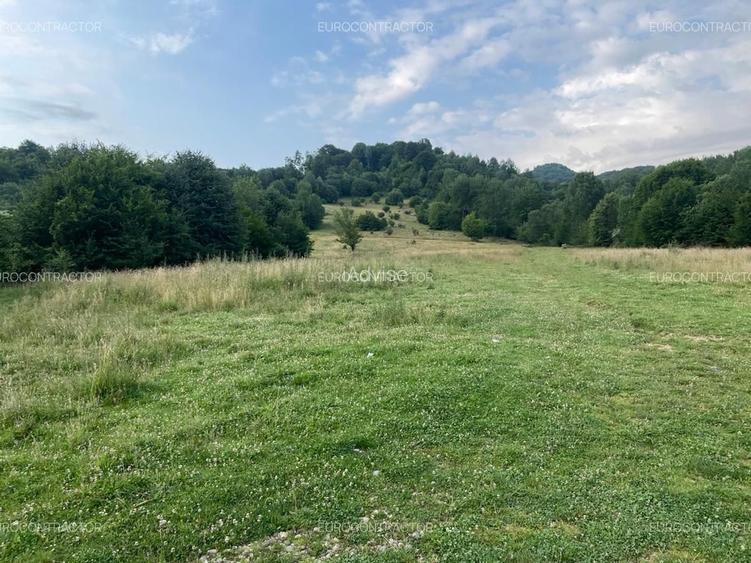 Teren Rasnov intranilan (PUZ) zona Cheia - 10