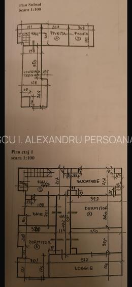 Parc Carol Vila 9 Camere - 1