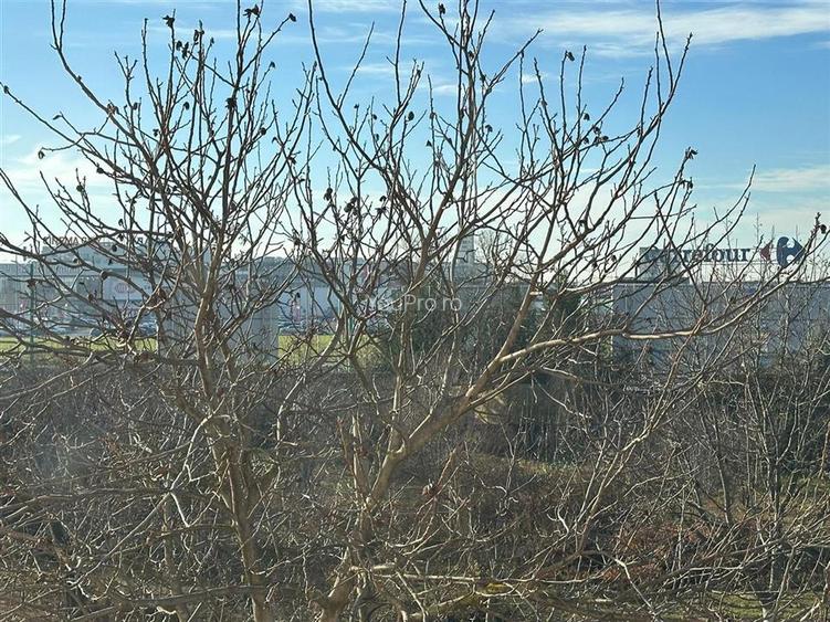 Garsoniera Renovata Noul Mall - 12