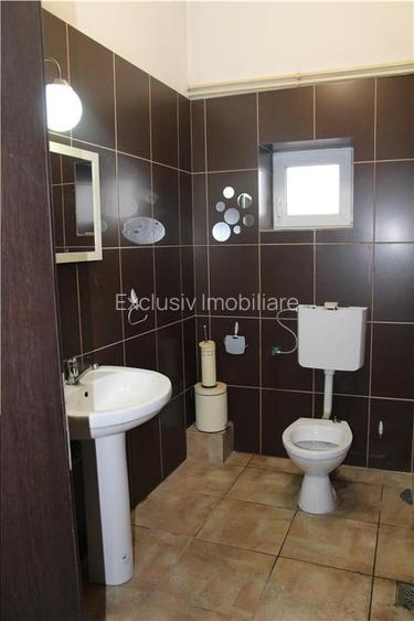 Exclusivitate - Hala de inchiriat Cristian - 11