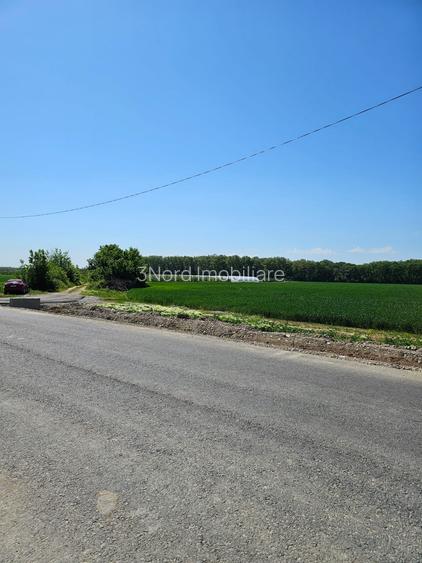 Balteni-Scrovistea, teren intravilan 17.714 mp, lângă pădure - 4