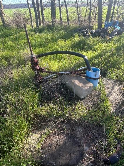 Teren extravilan 5000 mp - 6