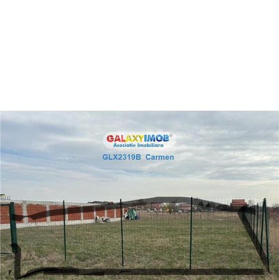 Teren intravilan - Domnesti - Intrarea Albastrelelor - 3