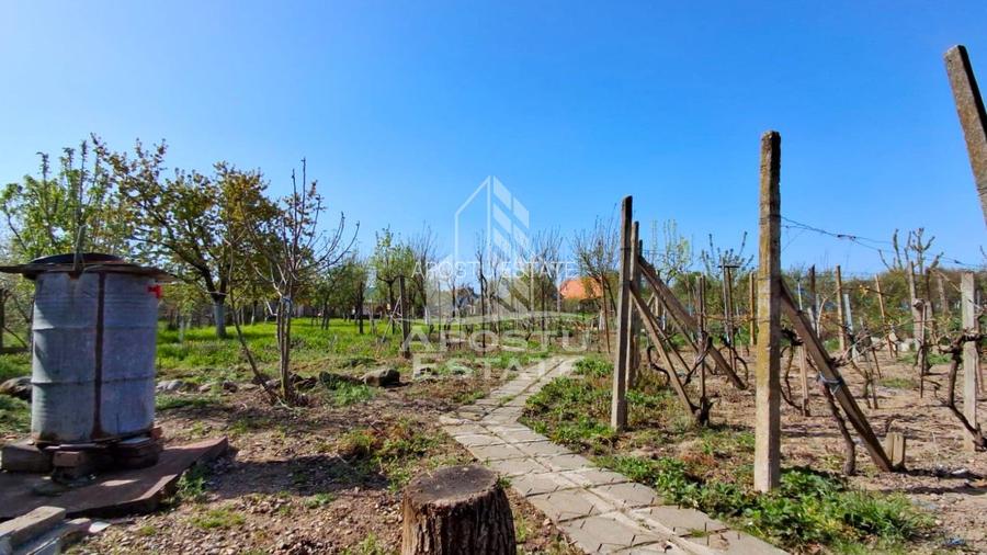 Casa de vanzare in Ineu formata din 2 cladiri - 39