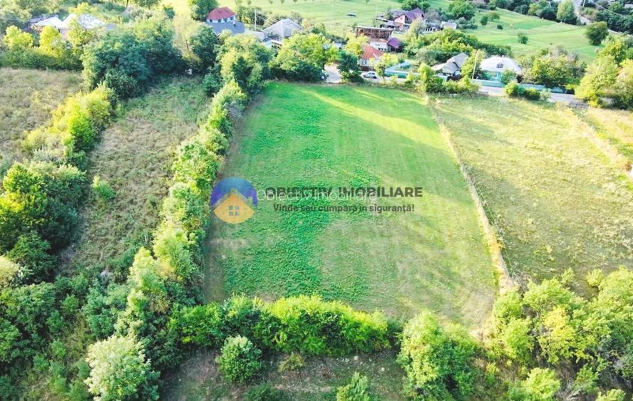 TEREN intravilan  3511 mp - BĂLȚĂTEȘTI - 10