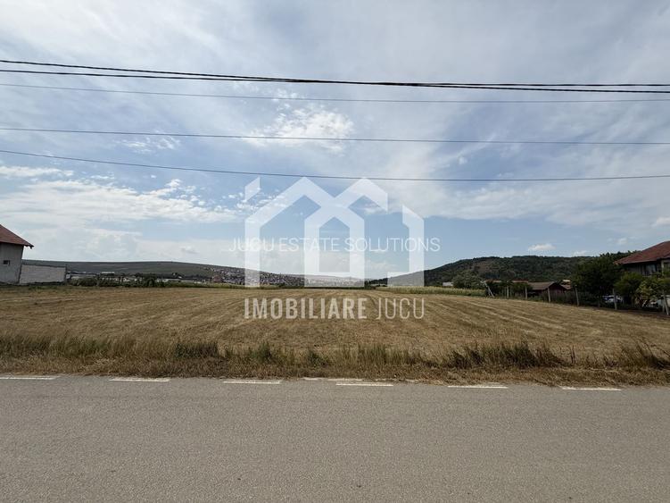 Teren Construibil 2.900 mp – Jucu de Mijloc, zona Panemar