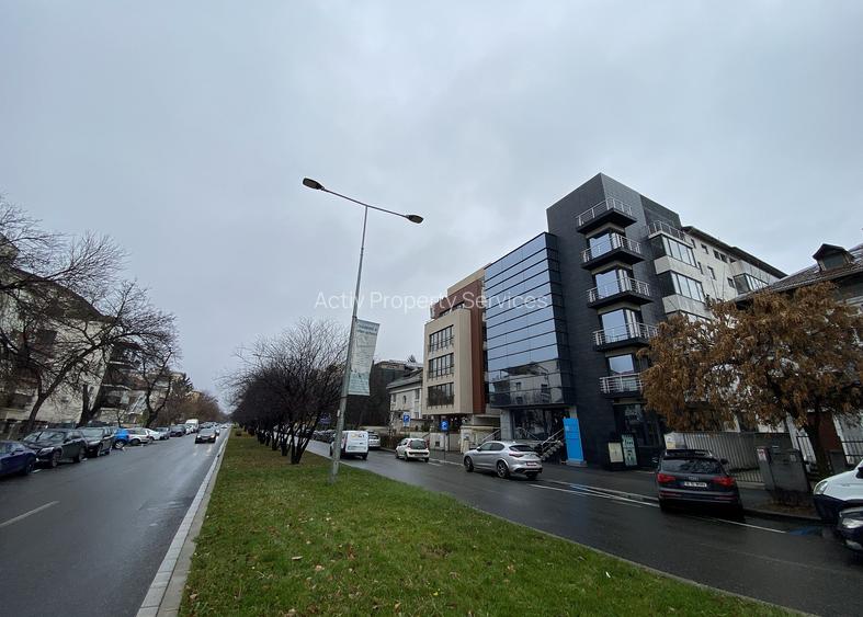 Alexandru Constantinescu 6 - comision 0%, reprezentam proprietarul! - 2