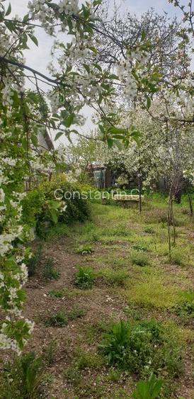Proprietate de vânzare – Sebeș - 3